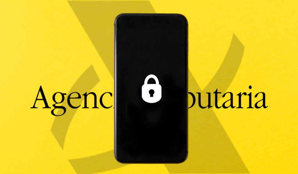 Ciberseguridad Intricom